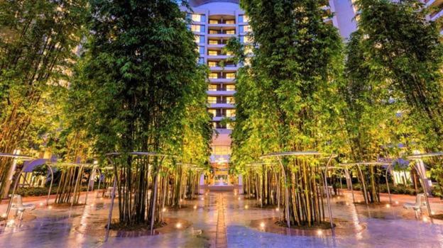 Bay Lake Tower At Disney'S Contemporary Resort Lake Buena Vista Exterior foto